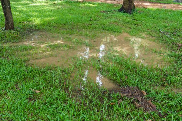 Cost of Storm Water Drainage Service in Bentonville