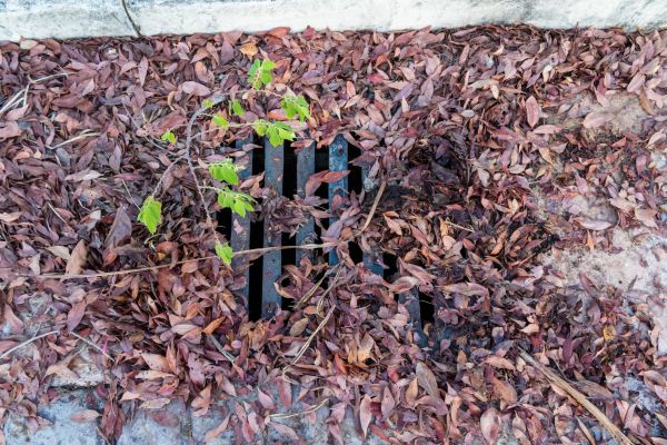 Cost of Yard Drain Unclogging in Bentonville