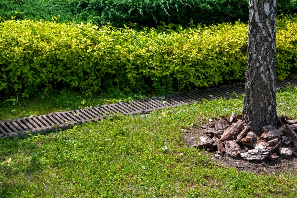 Cost of Residential Landscape Drainage in Bentonville