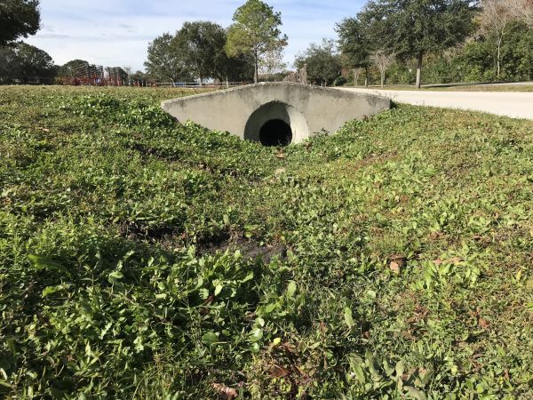 Cost of Swale Drainage Service in Bentonville